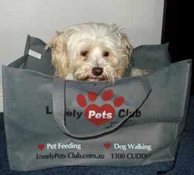 Buffy in a Bag